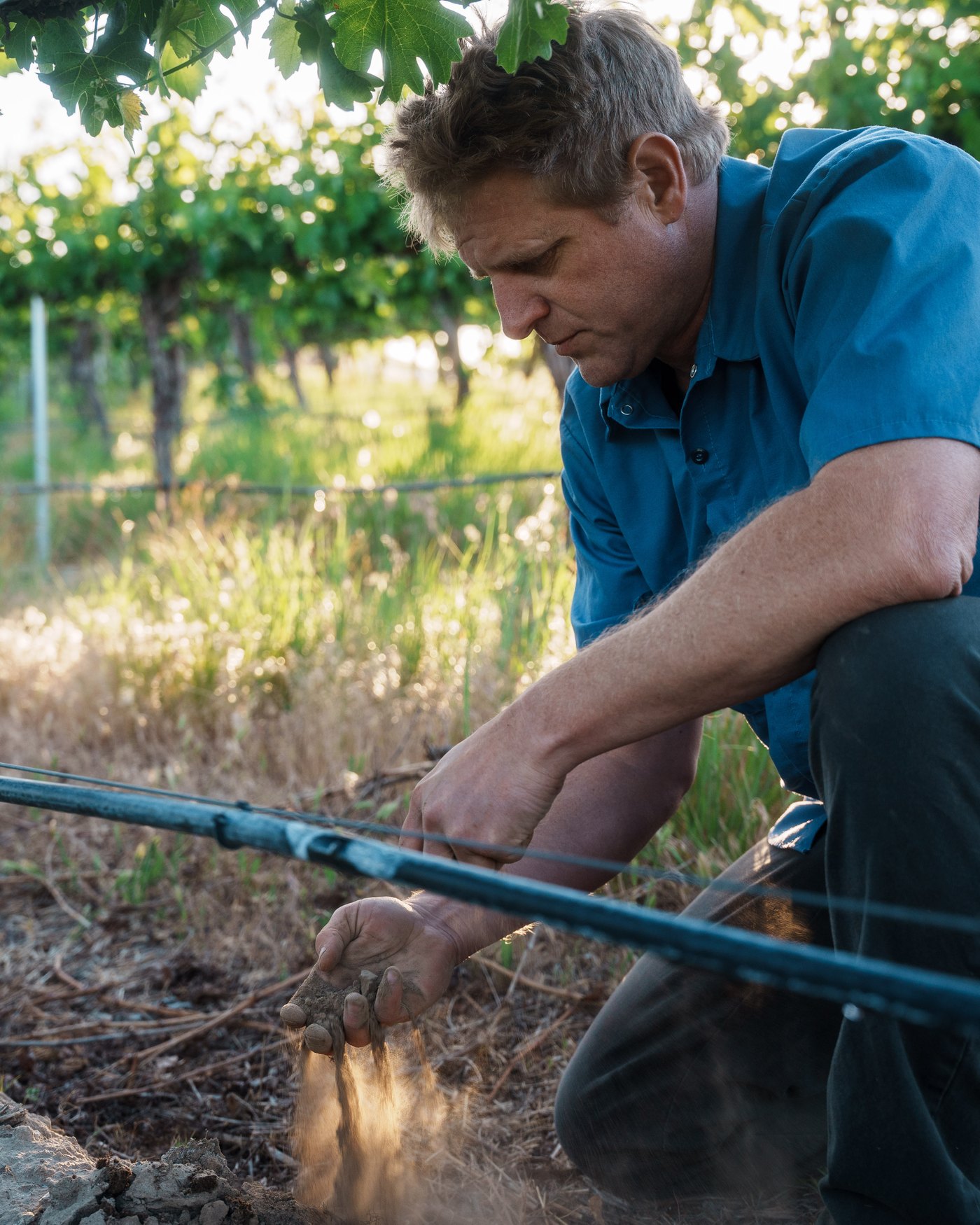 Andrew Schultz kneeling in the vineyard, soil pouring from his hand